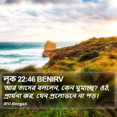 লূক 22:46 BENIRV Bible Verse Image