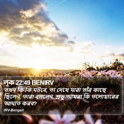 লূক 22:49 BENIRV Bible Verse Image