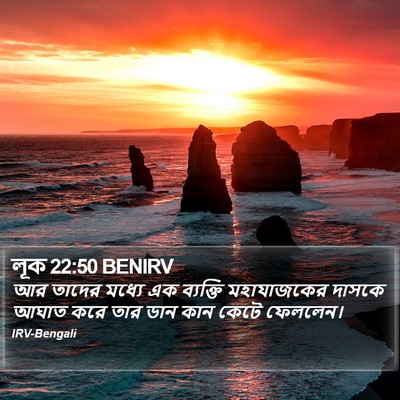 লূক 22:50 BENIRV Bible Verse Image