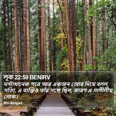 লূক 22:59 BENIRV Bible Verse Image