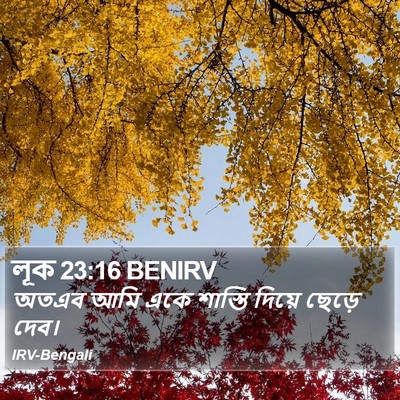 লূক 23:16 BENIRV Bible Verse Image