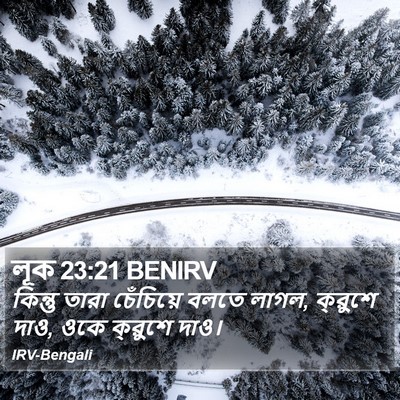লূক 23:21 BENIRV Bible Verse Image