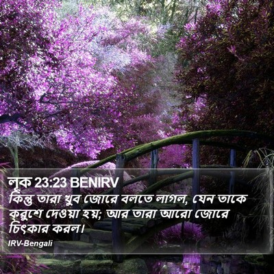 লূক 23:23 BENIRV Bible Verse Image