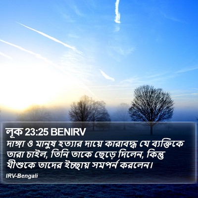 লূক 23:25 BENIRV Bible Verse Image