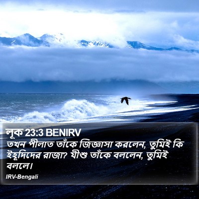 লূক 23:3 BENIRV Bible Verse Image