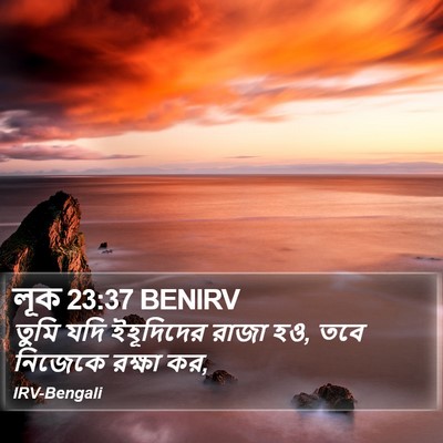 লূক 23:37 BENIRV Bible Verse Image