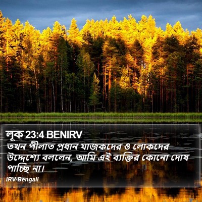 লূক 23:4 BENIRV Bible Verse Image