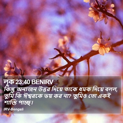 লূক 23:40 BENIRV Bible Verse Image