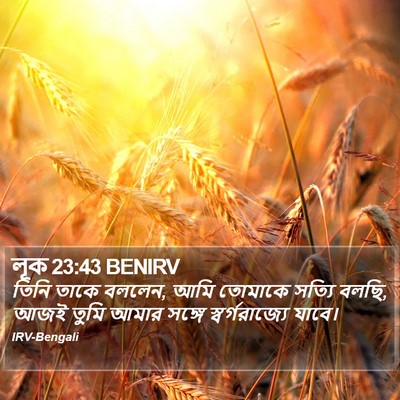 লূক 23:43 BENIRV Bible Verse Image