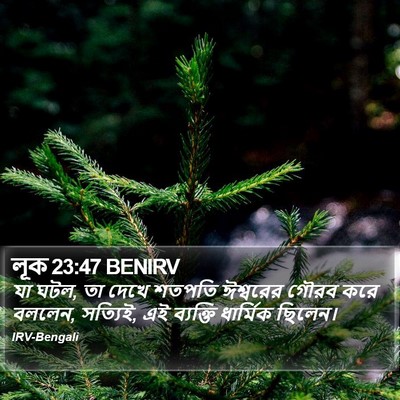 লূক 23:47 BENIRV Bible Verse Image