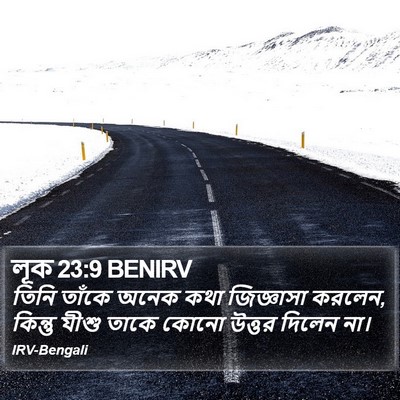 লূক 23:9 BENIRV Bible Verse Image
