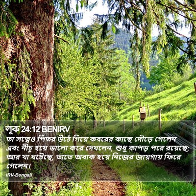 লূক 24:12 BENIRV Bible Verse Image