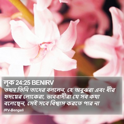 লূক 24:25 BENIRV Bible Verse Image