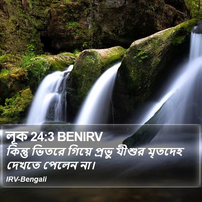 লূক 24:3 BENIRV Bible Verse Image
