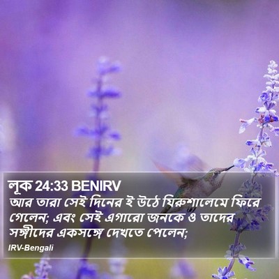 লূক 24:33 BENIRV Bible Verse Image