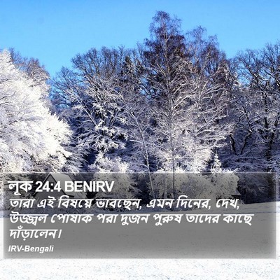 লূক 24:4 BENIRV Bible Verse Image