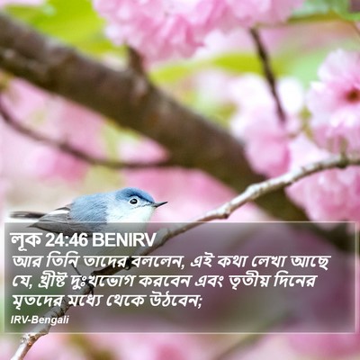 লূক 24:46 BENIRV Bible Verse Image