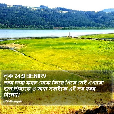 লূক 24:9 BENIRV Bible Verse Image