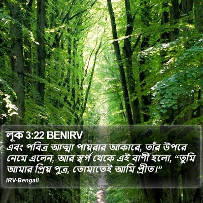 লূক 3:22 BENIRV Bible Verse Image