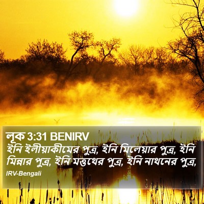 লূক 3:31 BENIRV Bible Verse Image
