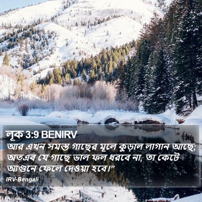 লূক 3:9 BENIRV Bible Verse Image