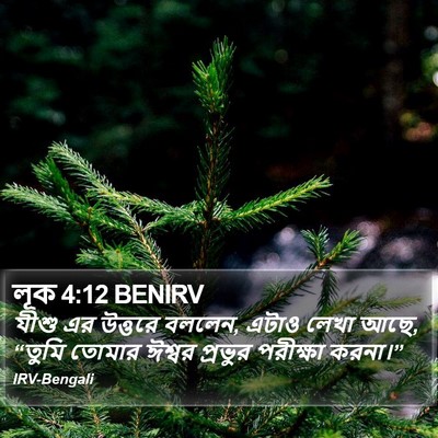 লূক 4:12 BENIRV Bible Verse Image