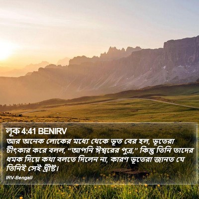 লূক 4:41 BENIRV Bible Verse Image