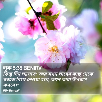 লূক 5:35 BENIRV Bible Verse Image