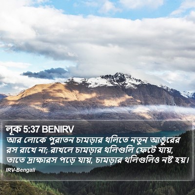 লূক 5:37 BENIRV Bible Verse Image