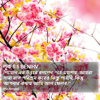 লূক 5:5 BENIRV Bible Verse Image