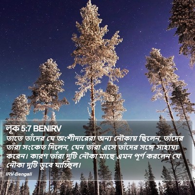 লূক 5:7 BENIRV Bible Verse Image