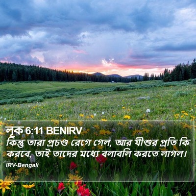 লূক 6:11 BENIRV Bible Verse Image