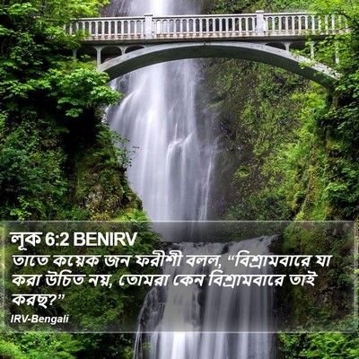 লূক 6:2 BENIRV Bible Verse Image