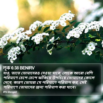 লূক 6:38 BENIRV Bible Verse Image
