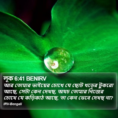 লূক 6:41 BENIRV Bible Verse Image