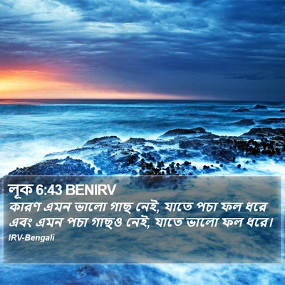 লূক 6:43 BENIRV Bible Verse Image