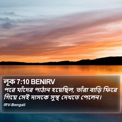 লূক 7:10 BENIRV Bible Verse Image