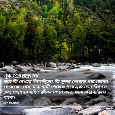 লূক 7:25 BENIRV Bible Verse Image