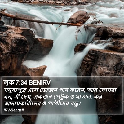 লূক 7:34 BENIRV Bible Verse Image
