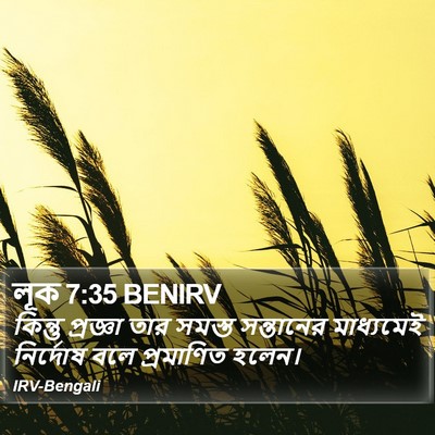 লূক 7:35 BENIRV Bible Verse Image