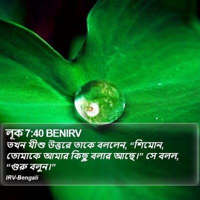 লূক 7:40 BENIRV Bible Verse Image