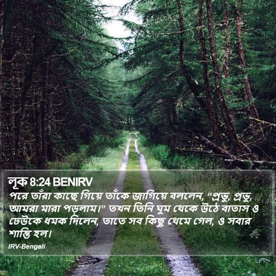 লূক 8:24 BENIRV Bible Verse Image