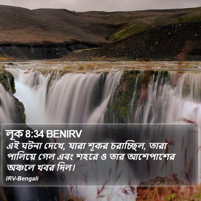 লূক 8:34 BENIRV Bible Verse Image