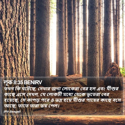 লূক 8:35 BENIRV Bible Verse Image