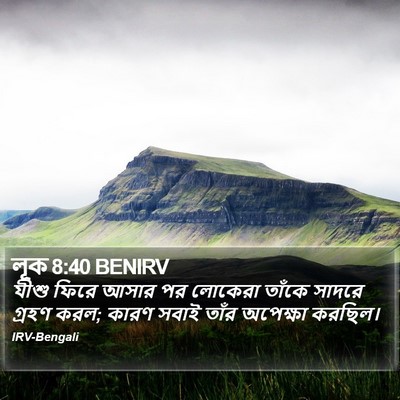 লূক 8:40 BENIRV Bible Verse Image