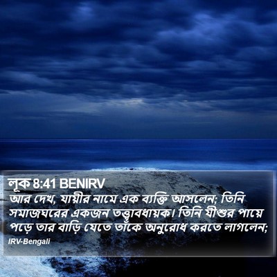 লূক 8:41 BENIRV Bible Verse Image