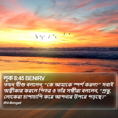লূক 8:45 BENIRV Bible Verse Image