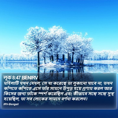 লূক 8:47 BENIRV Bible Verse Image