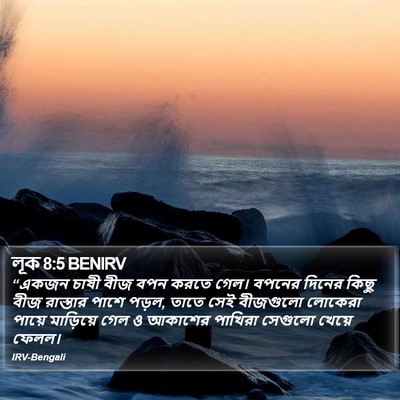 লূক 8:5 BENIRV Bible Verse Image