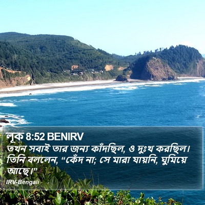 লূক 8:52 BENIRV Bible Verse Image